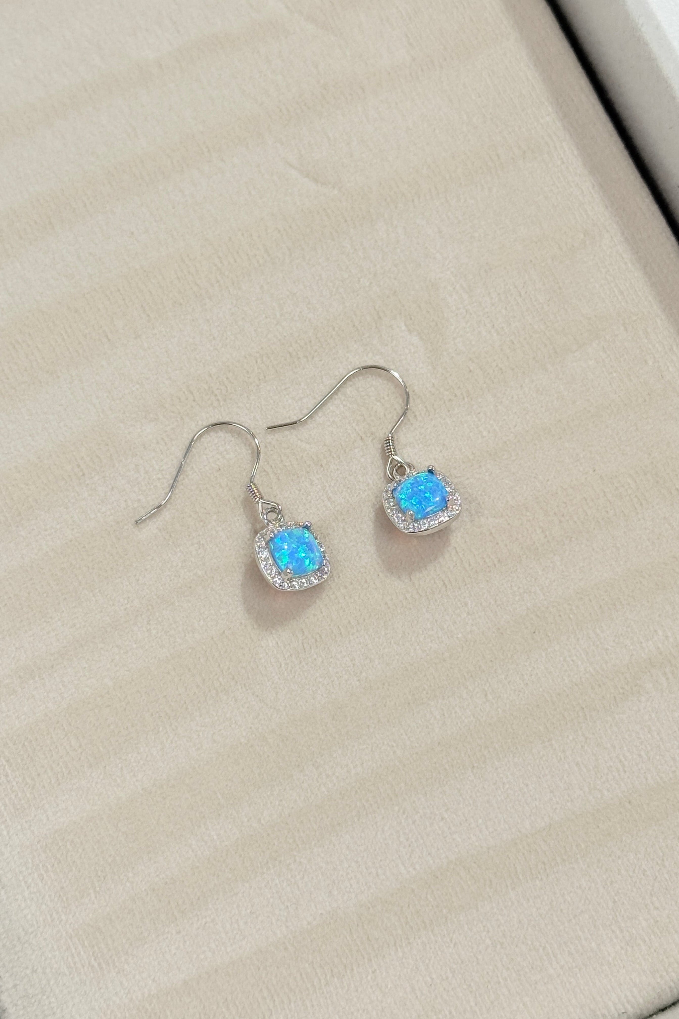 Pair of silver earrings with blue gemstones on a beige jewelry box.