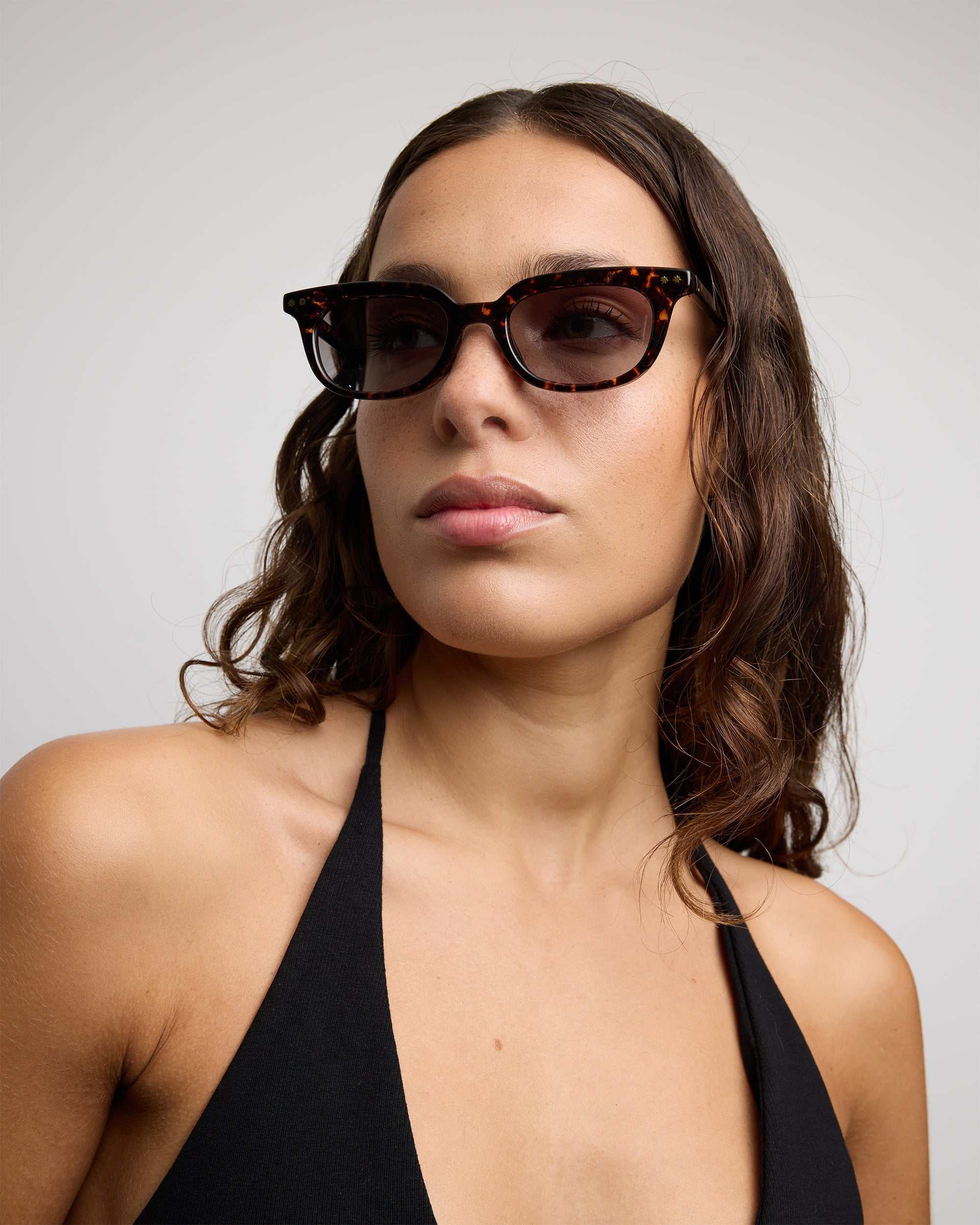 Szade - Bates (Wasp/Dune) - Mount Longboards